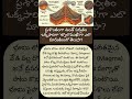 #GeologyFacts #VolcanoEruption #MagmaLava #EarthScience