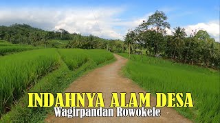 INDAHNYA ALAM DESA WAGIRPANDAN ROWOKELE KABUPATEN KEBUMEN