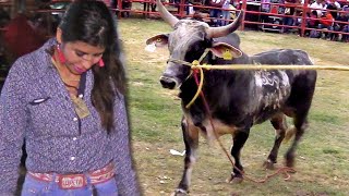 Que Agallas De Esta Mujer Le Monto A Un Toro Bravo Dinastia Guerrerense En Malinaltepec Guerrero