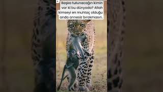 Beni Kalbimden Vuran Video Şfet