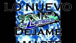 Video thumbnail of "Los llamadores -adelanto 2010 - Dejame amarte"