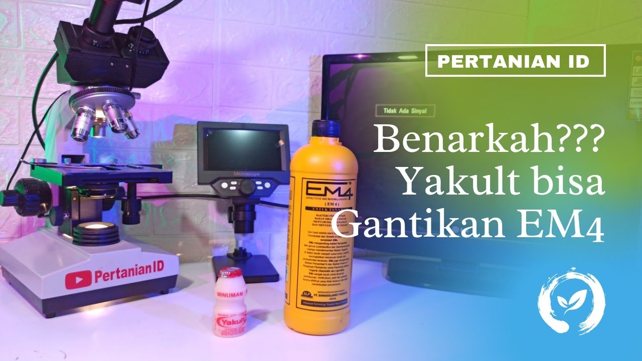 Benarkah Yakult bisa Menggantikan EM4 untuk Fermentasi Pembuatan Pupuk Organik? Simak Ulasannya