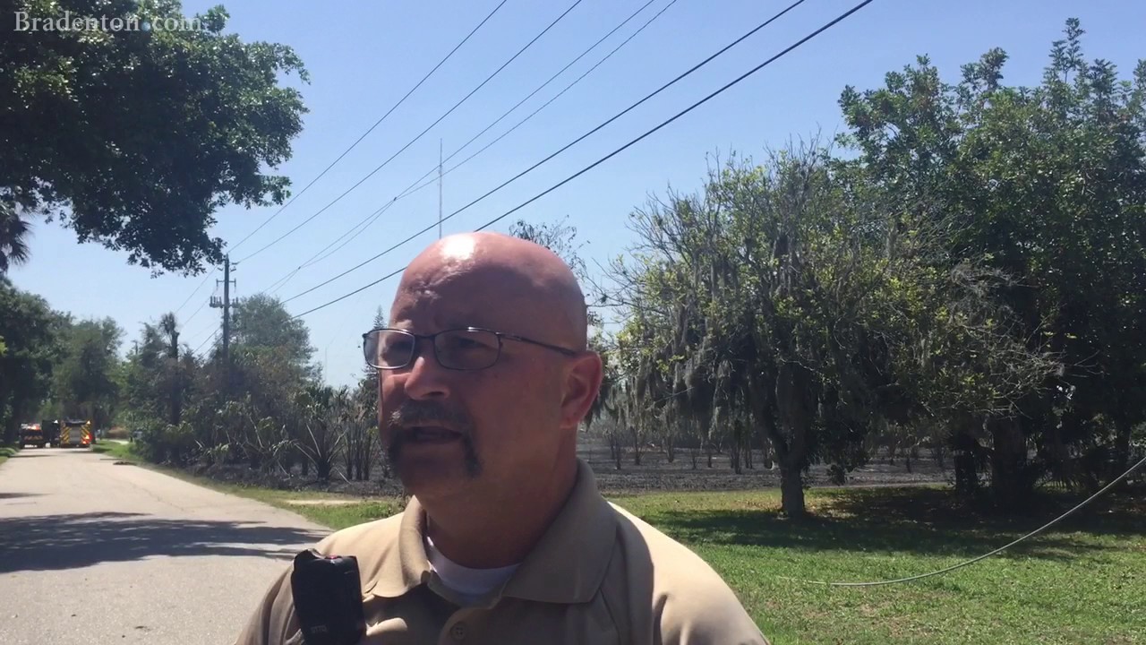 Failed power lines lead to brush fire in Palmetto