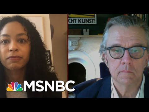 Andersen: 'Evil Genuises' Have Allowed In All Types Of 'Exciting Falsehoods' | Morning Joe | MSNBC