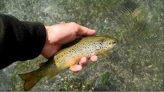 Ludovic Briet - Guide de pêche Haute-Savoie rivières et lac Léman