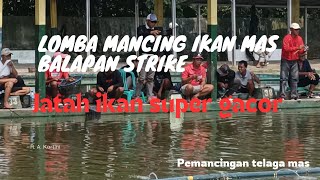 lomba mancing ikan mas dengan umpan putih amis bikin gacor ‼️ PMC telaga mas sawangan baru Depok