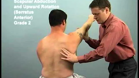 upper extremity scapular abduction and upward rotation (Serratus Anterior)
