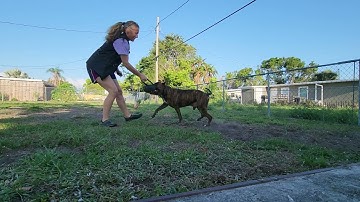 teaching reward markers