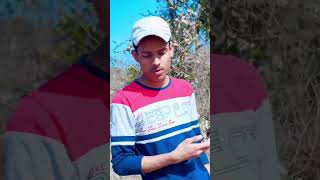 Celebrity lipsing video in hindi song! #reels #instagram #lipsing #youtubeshorts #boy #romanticsong Wealth