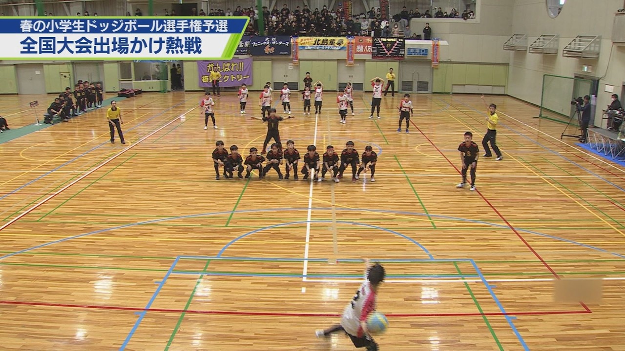 熱戦！春の小学生ドッジボール選手権 県予選【テレビトクシマ】