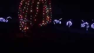 Senior Holiday Ride 2014 15