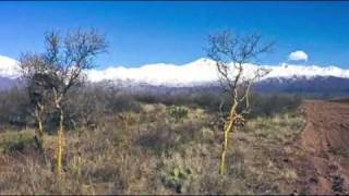 Chañares de la Luna