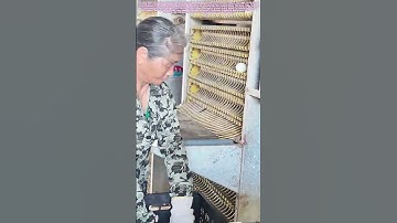 Catching the Harvest: The Final Step in Automated Egg Collection