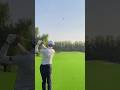 Power of Fly