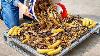 Never Throw Away Banana Peels😱!! Collect Them and Turn Them Into Money!