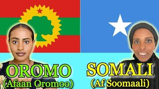 Similarities Between Somali and Oromo