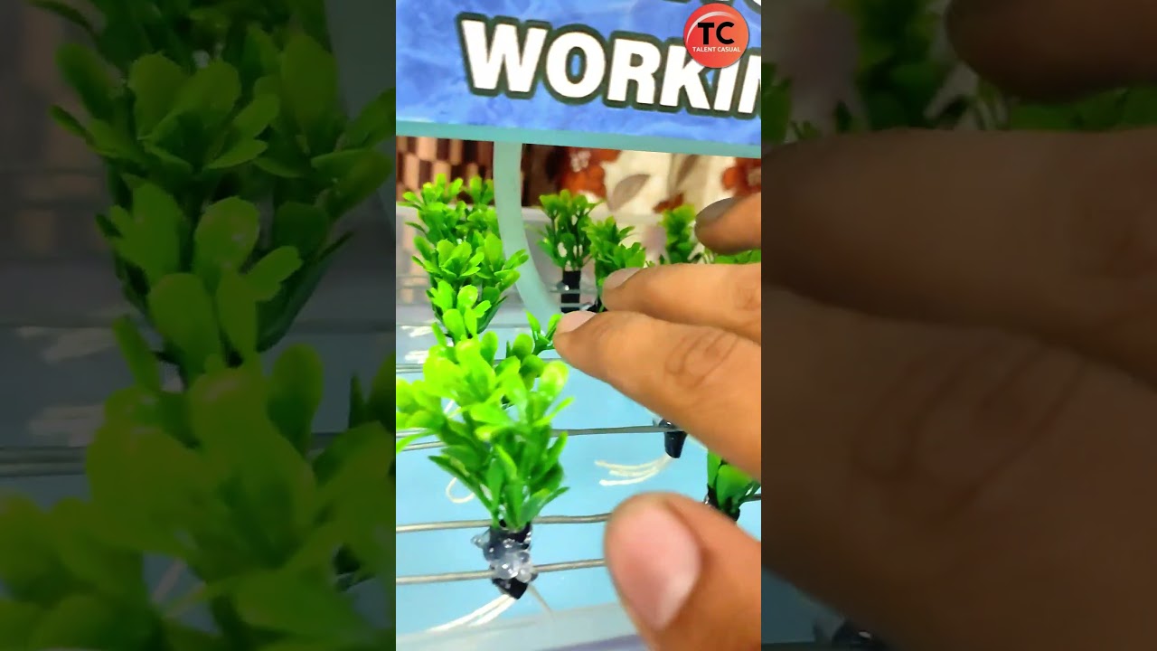 Hydroponic Farming Working Model | NFT System 