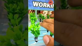 Hydroponic Farming Working Model | NFT System #creative #innovation #diy  #schoolproject Net Worth