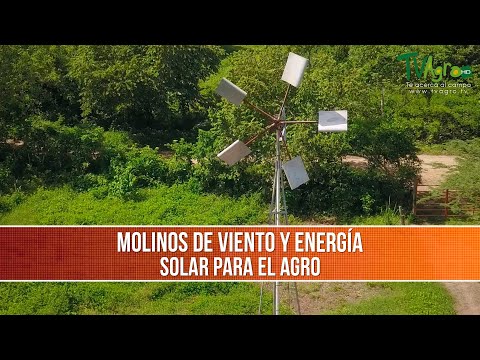 Video: Identificación de la hierba de molino de viento: condiciones de crecimiento de la hierba de molino de viento