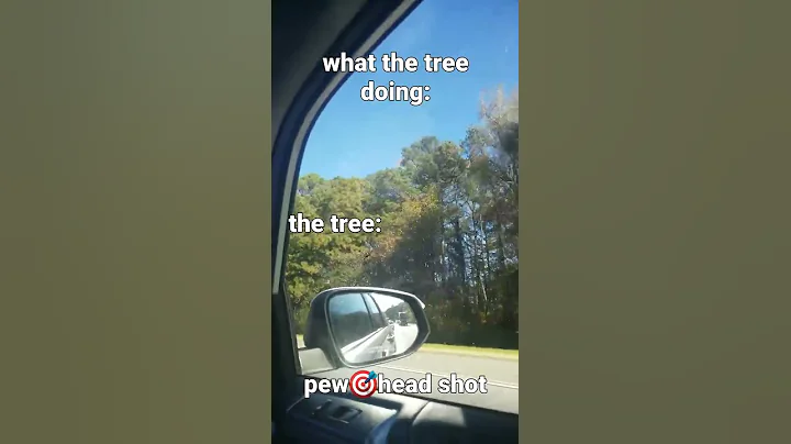 squid game tree meme