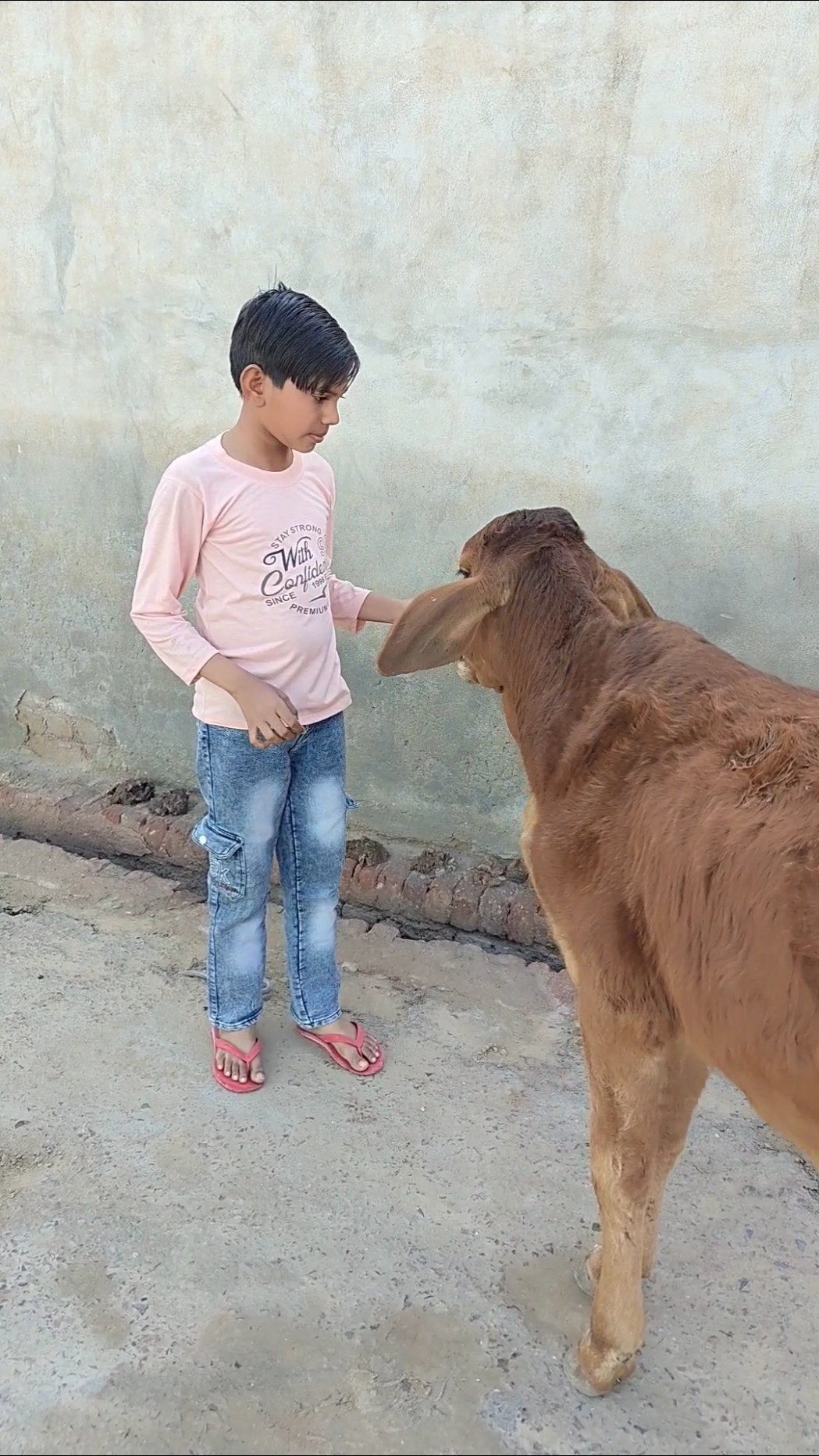 Mere roti gay ko khila Di  #shorts