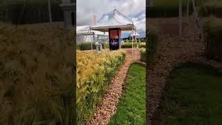 KWS celebrating 170 years in style 🌾