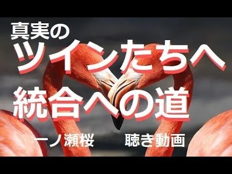 ツイン達へ鑑定を行います あなたの魂の鑑定と今向き合う事　―新しいゲートに向かう為に―