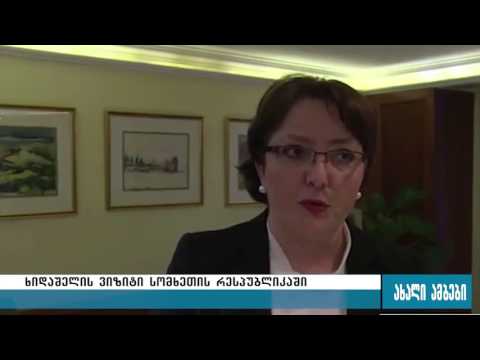 თინათინ ხიდაშელი ვიზიტი სომხეთის რესპუბლიკის 02.02.2016