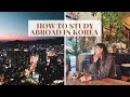 Application Requirements To Study Abroad in Korea  + What I Studied at Korea University