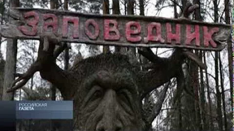 Увеличены штрафы за сбор грибов в заповеднике