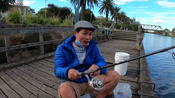 Câu cá ở Úc , câu cá hanh trên sông