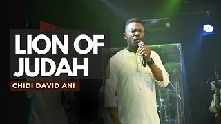 LION OF JUDAH  / Lebo Sekgobela  COVER CHIDI DAVID ANI