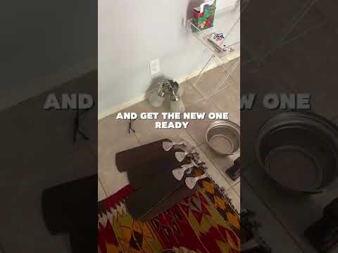 General Handyman