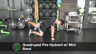 Quadruped Fire Hydrant w: Mini Band