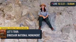 Let's Tour!: Dinosaur National Monument | National Fossil Day 2021
