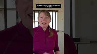 Ammonia and horses - stall cleaning tips