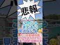 市川市動植物園混雑状況【2026年5月19日】　#がんばれパンチ #市川市動植物園 #animals #ニホンザル #オランママ # #punch #animalshorts #shorts