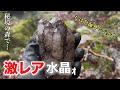 激レア水晶を拾っちゃいました…