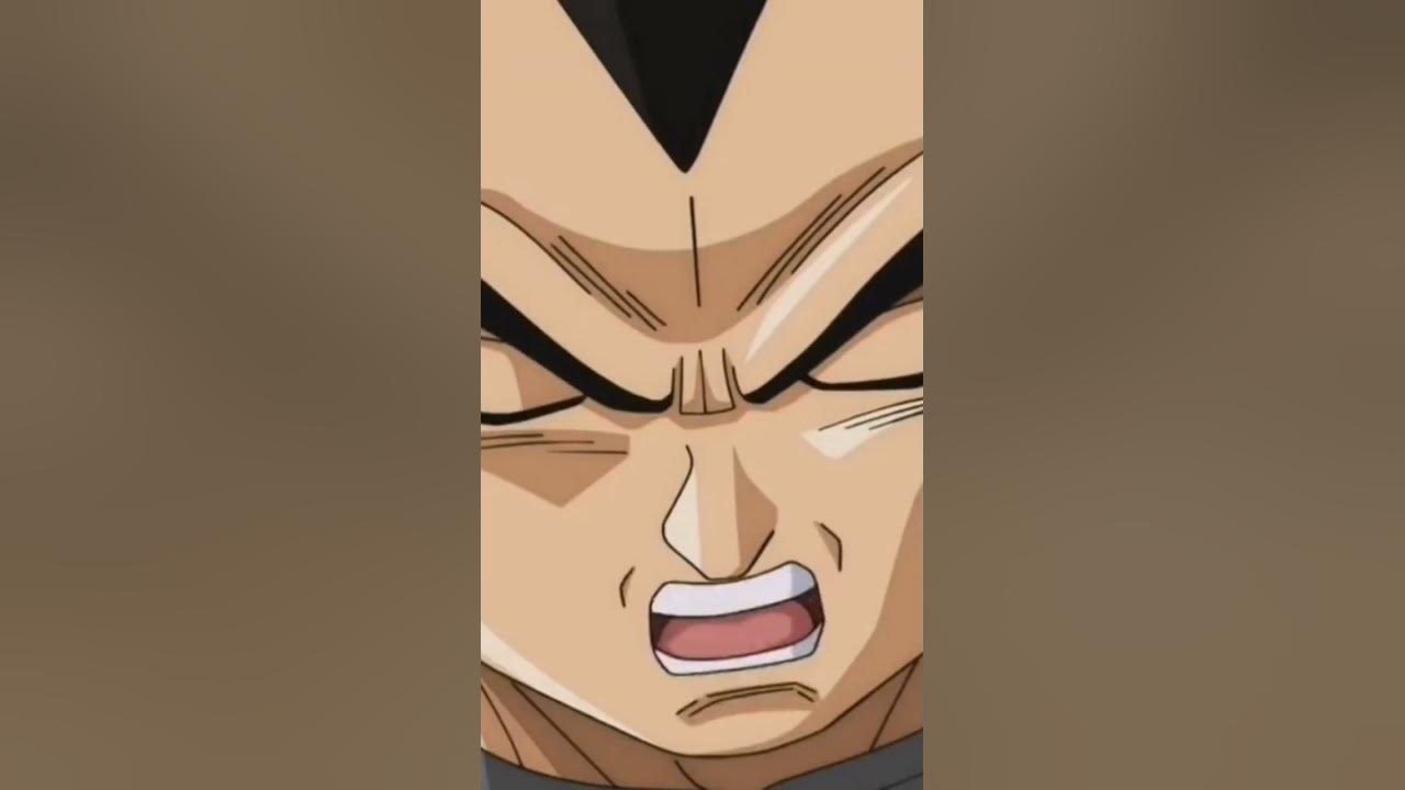 halal-vegeta-anime-dragonball-youtube