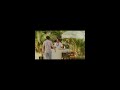 SOJA x Kolohe Kai: “We All Need Love”