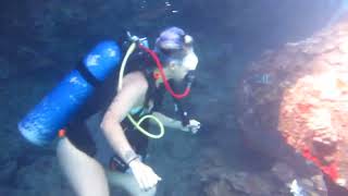 Two Women Scuba Divers Dive Along Coral Wall