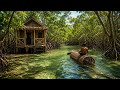31 Day Challenge to Build a Shelter in a Wet and Dangerous Swamp, Bushcraft, Survival
