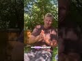 Erster Anfängertipp für Hobby-Imker: ANFANGEN