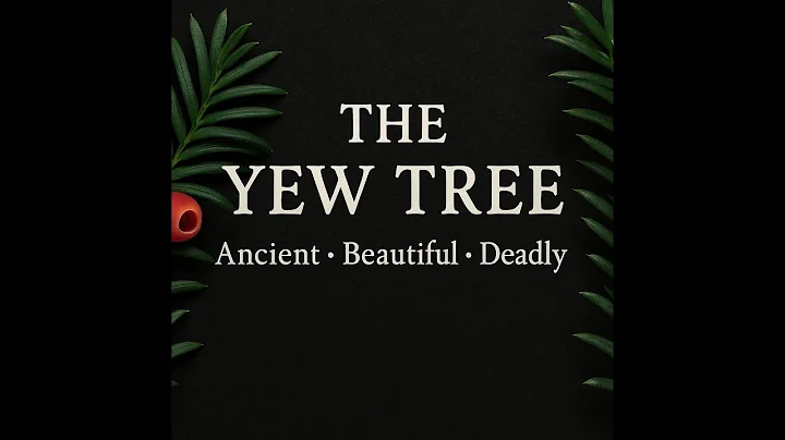 The yew tree - Deadly but a life saver.