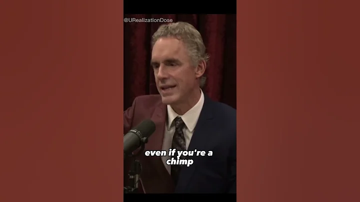 Chimpanzees and Human Functional Societies - Joe Rogan and Dr. Jordan Peterson #jre #jreclips