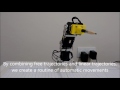 3 DOF Robotic Arm with Dynamixel servos