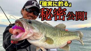 確実にバスを釣り上げる「ダウンショットパターン」の秘密を完全解説します！【後編】