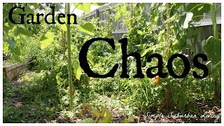 My Garden is a Mess! - 2016 Garden Tour