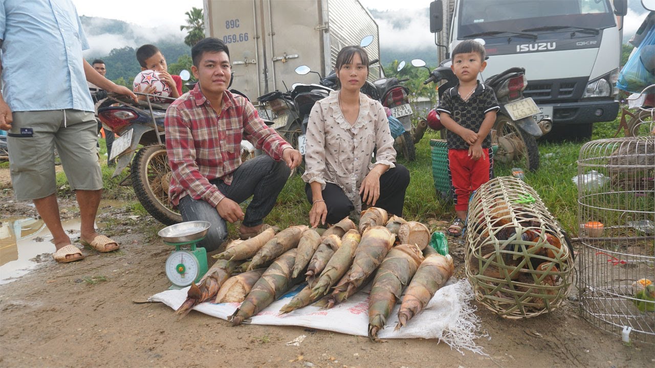 Harvest lots of bamboo shoots go to market sell - Single mother and kind guy build a new life