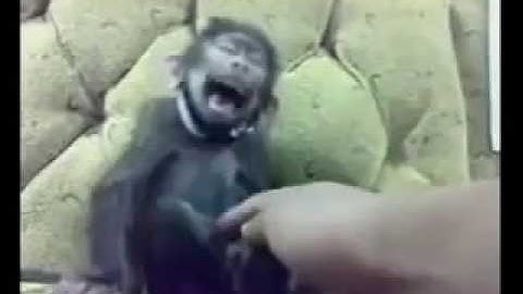 Please try & open dis link  that true....